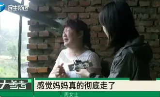 老宅被擅裝光伏、古樹遭砍伐：無邊界的親情，最是傷人