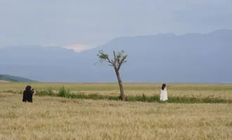 網(wǎng)紅孤獨樹被砍：別讓流量狂歡踐踏農(nóng)人煙火
